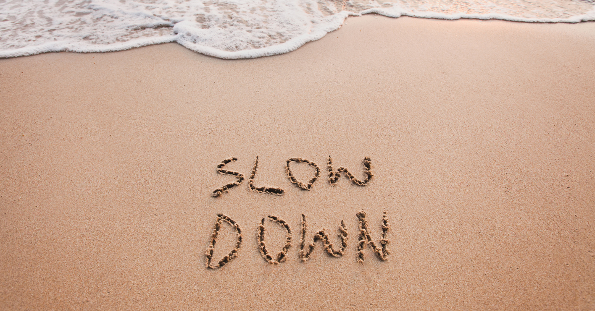 Exploring the Present: Mindfulness As You Wander